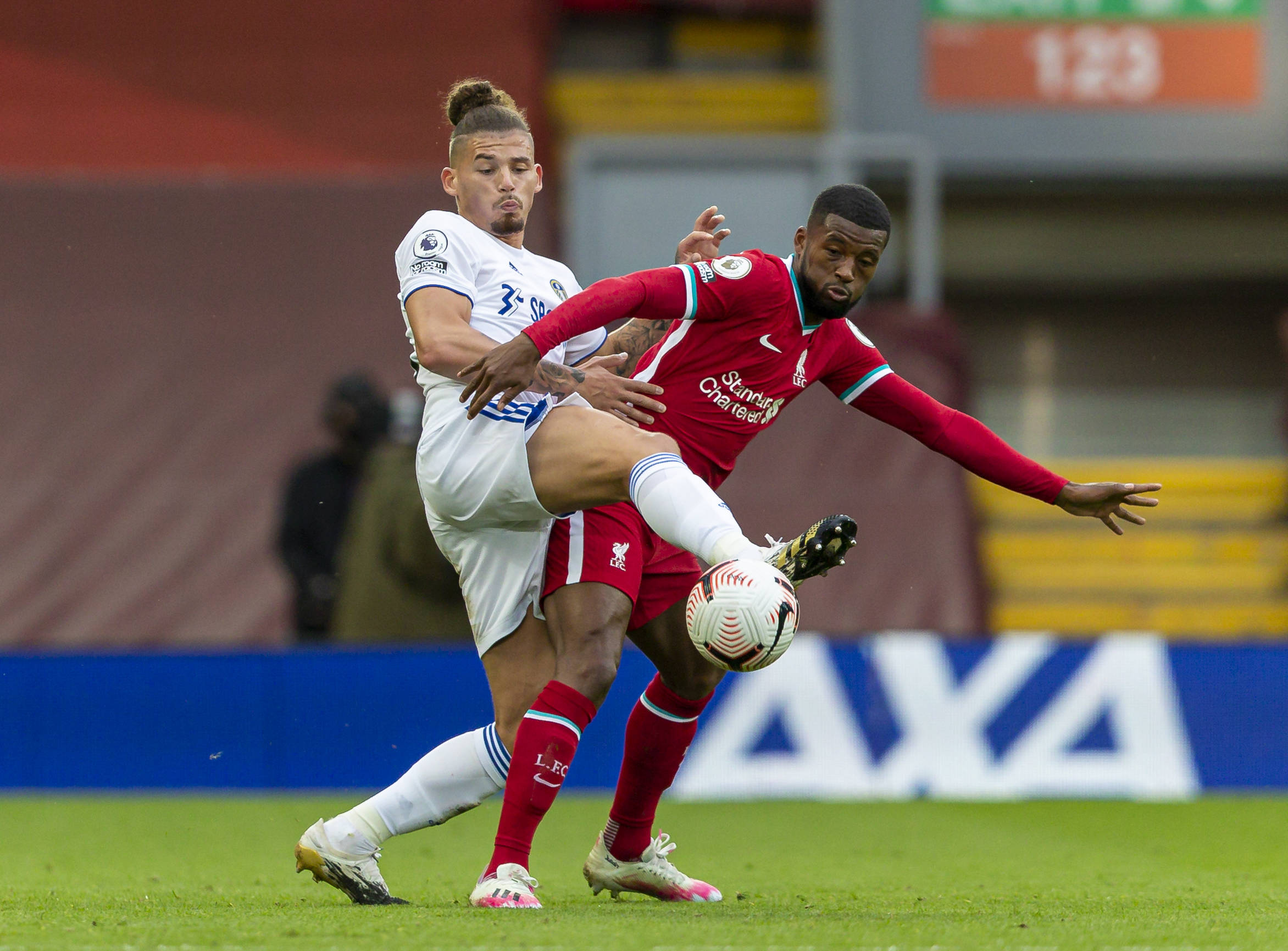 到了广泛的 到了广泛的